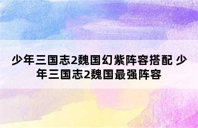 少年三国志2魏国幻紫阵容搭配 少年三国志2魏国最强阵容